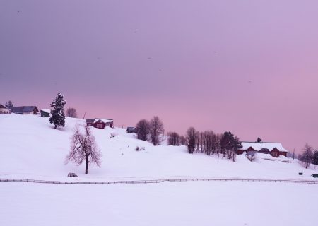 pexels-imadclicks-6780256